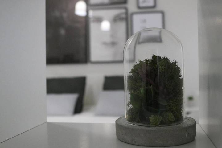 Gîte pour 2 personnes, avec terrasse, animaux acceptés dans Almeirim - 3