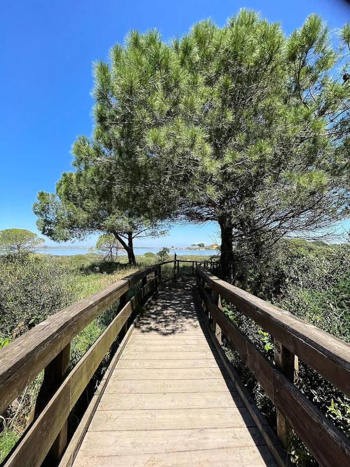 Camping für 5 Personen, mit Pool und Terrasse in Norditalien - 4