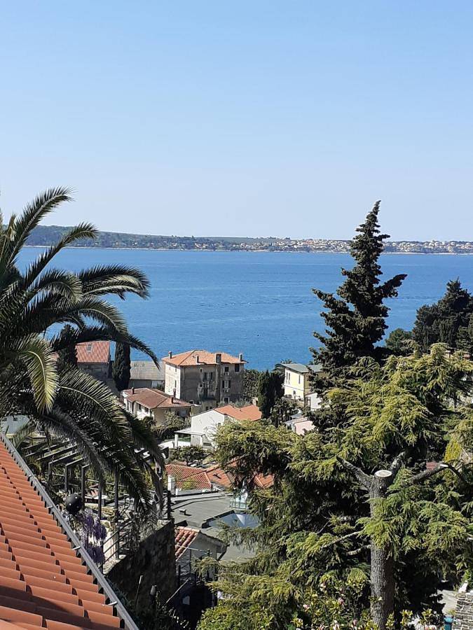 Cały apartament, Apartma Ursa in Piran, Slovene Riviera