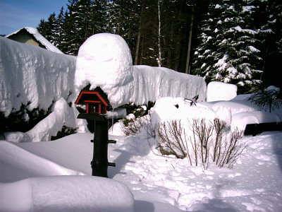 Pension pour 2 personnes, avec jardin à Schluchsee - 4