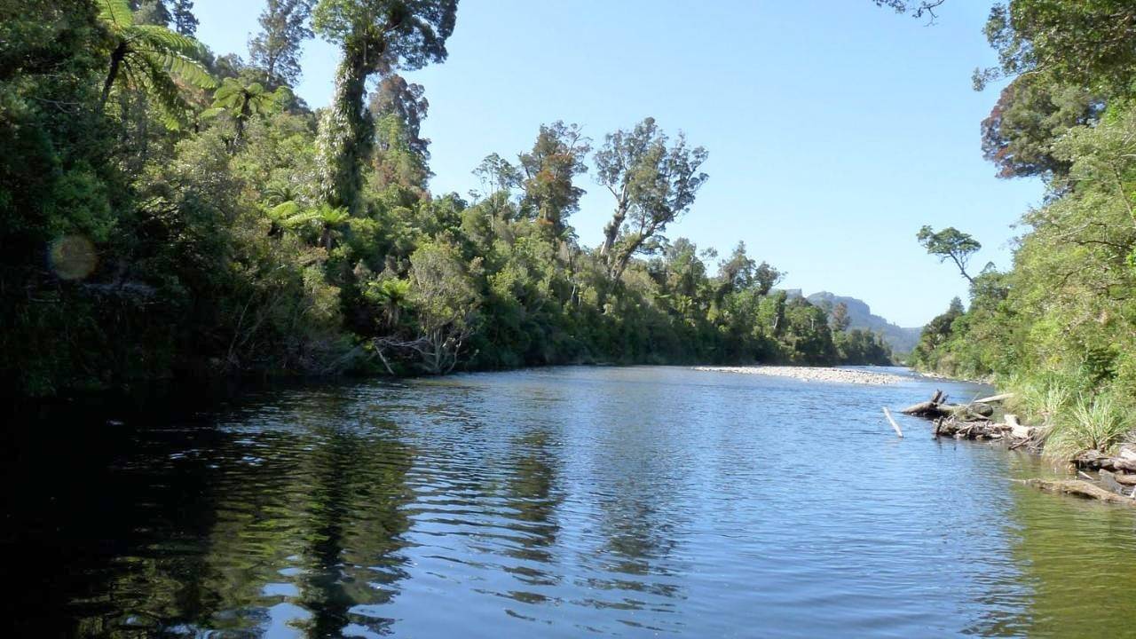 Wetland View Park in Tasman (New Zealand)