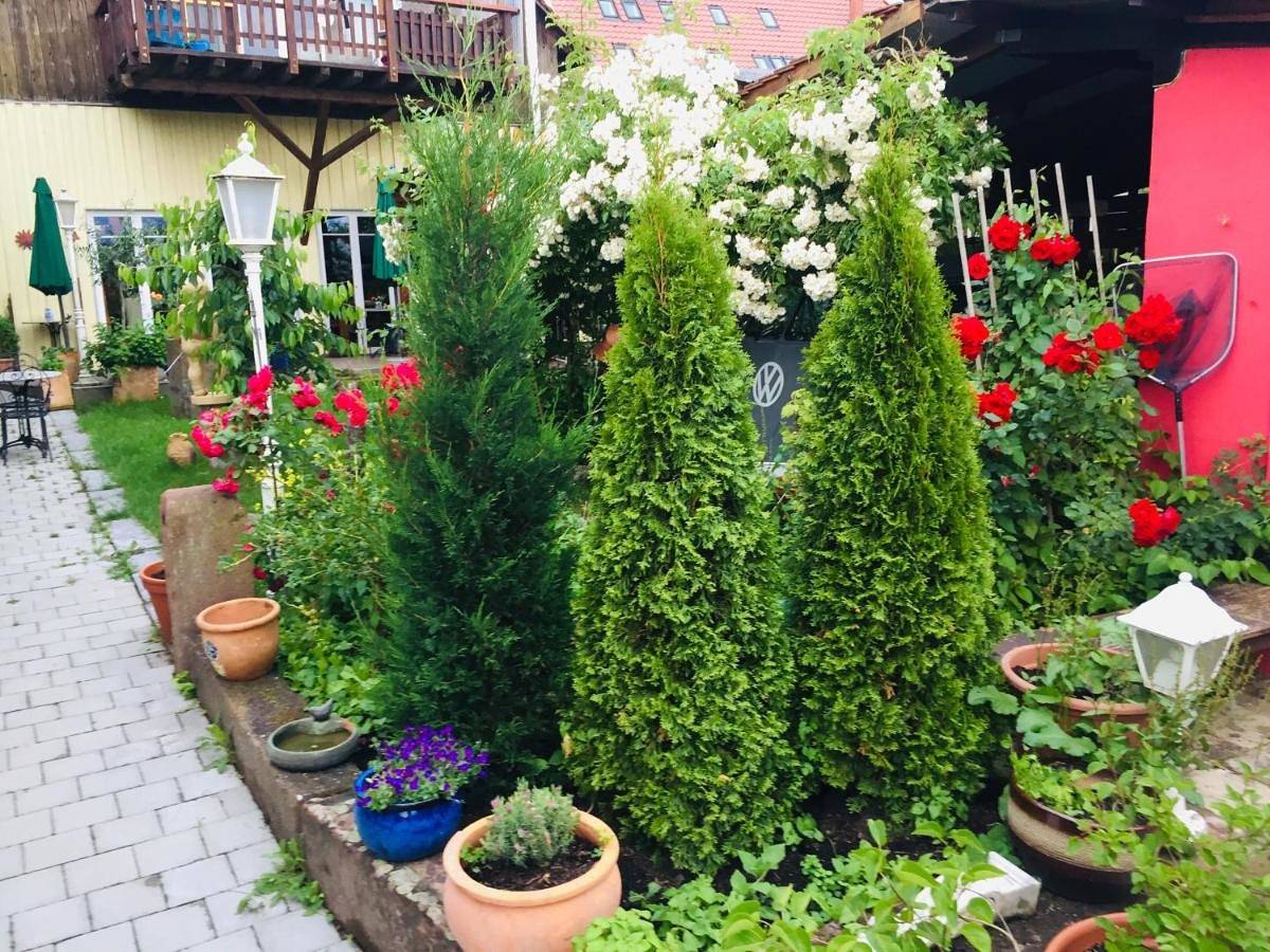 Landhotel Elfenhof in Kippenhausen, Immenstaad am Bodensee