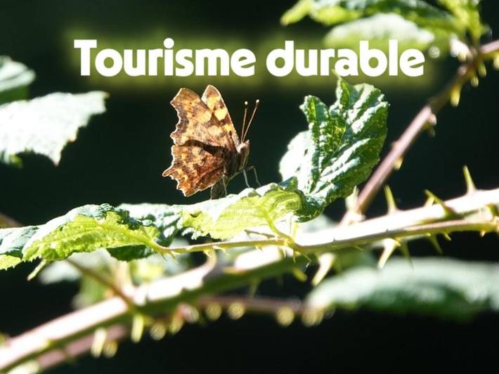 Chambre d’hôte pour 3 personnes, avec vue et jardin dans Parc naturel régional des Vosges du Nord - 2