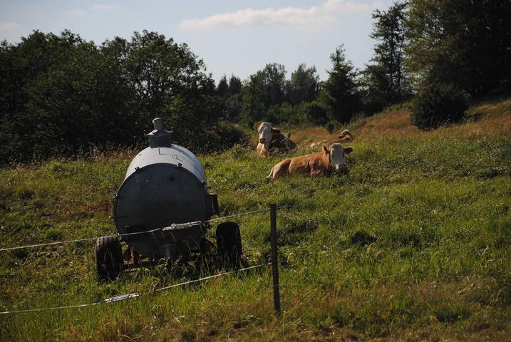 Ferienwohnung für 2 Personen, mit Balkon in Gersfeld - 2