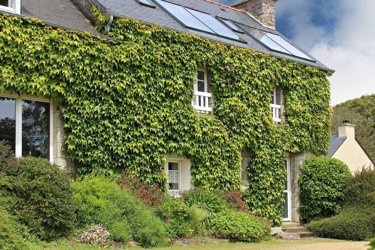 Photo : Maison de vacances