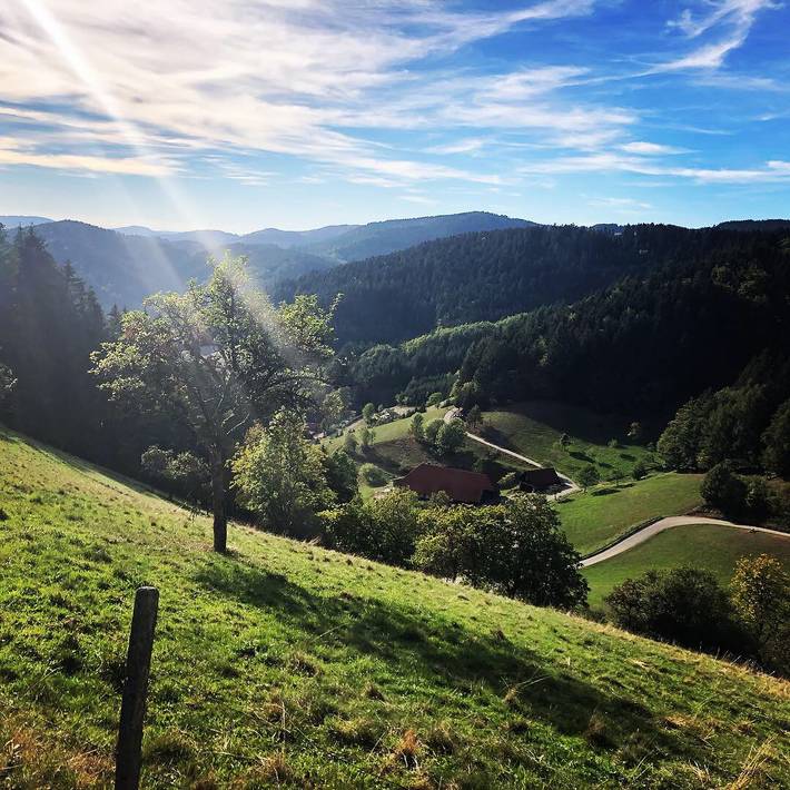 Ferienwohnung für 4 Personen, mit Whirlpool und Pool sowie Sauna in Mittlerer Schwarzwald - 4