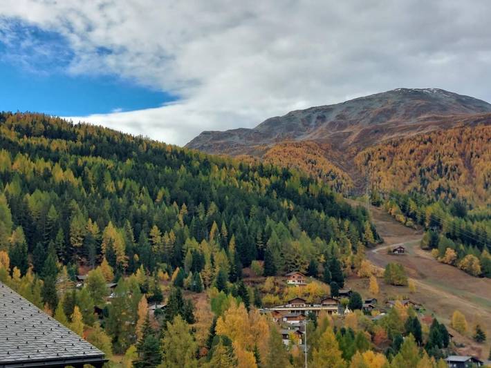 Ganze Wohnung, Moosalpe A in Bürchen, Walliser Alpen