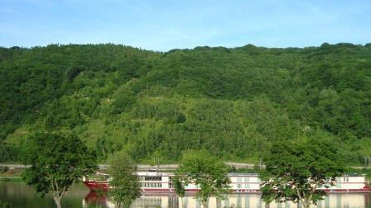 Entire holiday apartment, Ferienwohnung für 2 Personen (42 m²) in Sankt Aldegund in Sankt Aldegund, Traben-Trarbach and Surroundings