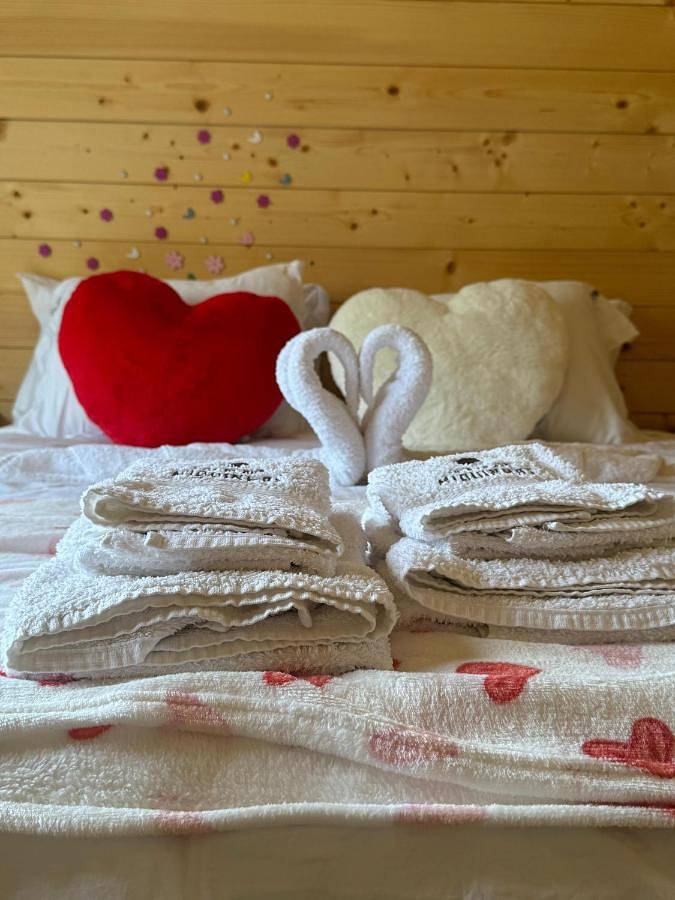 Parc de vacances pour 2 personnes, avec jardin et vue dans Paços de Ferreira - 3