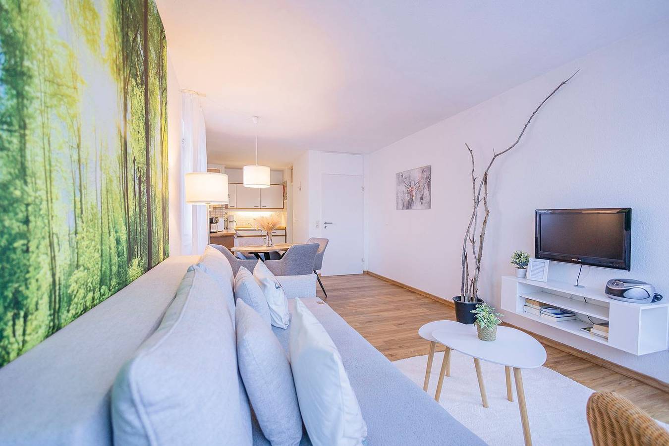 Appartement entier, 2-Room-Apartment (Type 3) in Immenstaad am Bodensee, Obersee (Bodensee)