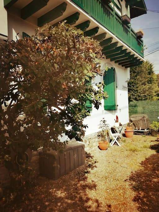 Gîte pour 4 personnes, avec jardin et balcon dans Aguilera - 3