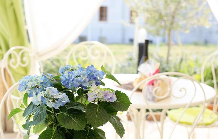 Gîte pour 6 personnes, avec jacuzzi ainsi que piscine et jardin à Valdobbiadene - 3