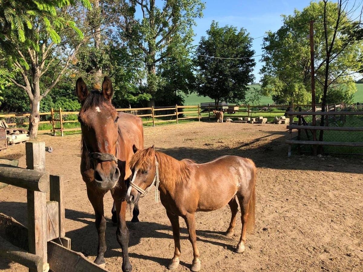 Ganze Wohnung, Two-Bedroom Apartment in Dohna, Elbsandsteingebirge
