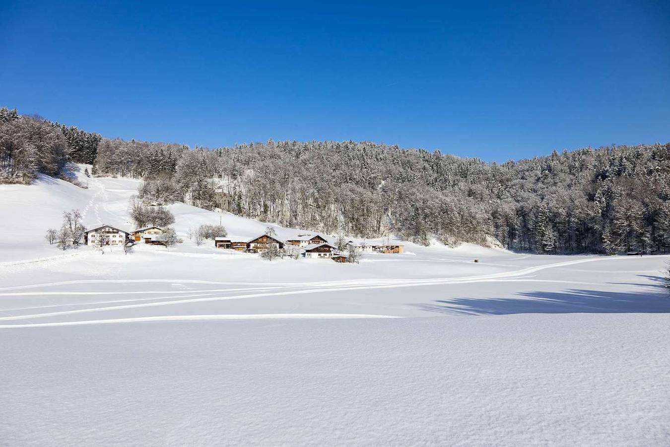 Apartamento vacacional entero, Ferienwohnung Hoisenlehen - Ferienwohnung in Göllstock, Marktschellenberg