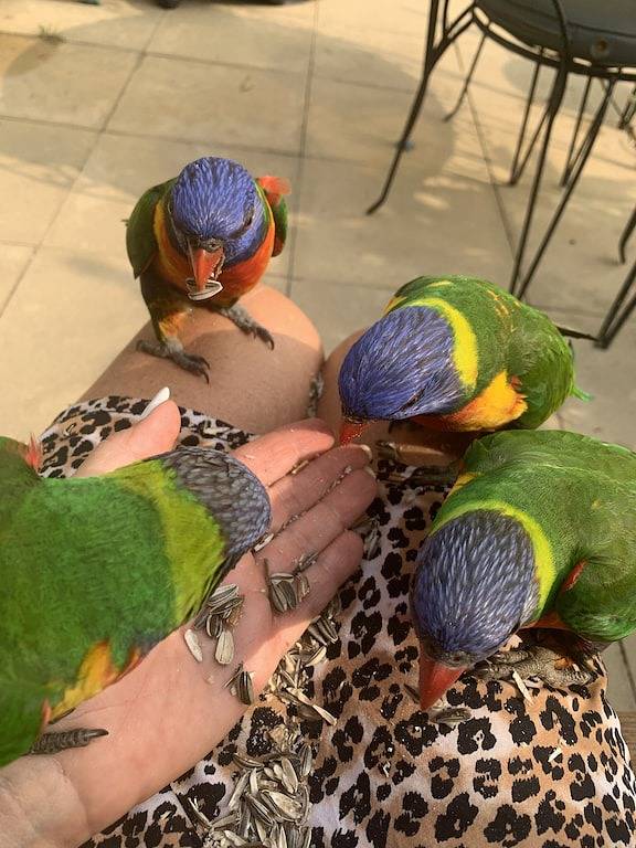 Vacation rental for 6 people, with hot tub and yard in Sydney