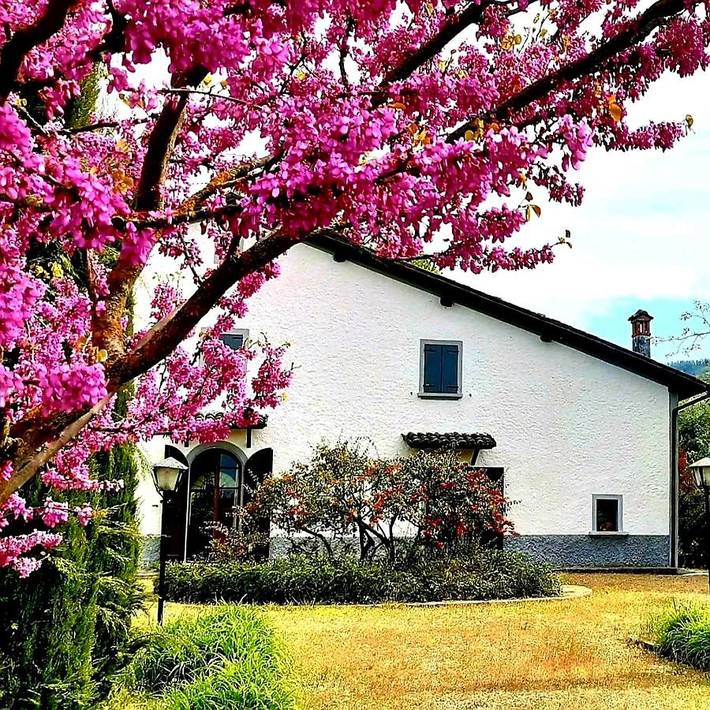 B&b per 2 persone, con Terrazza e Giardino nonché Piscina e Panorama a Valsamoggia