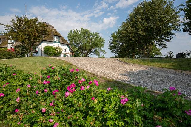 Ferienwohnung für 2 Personen, mit Garten in Pellworm - 4