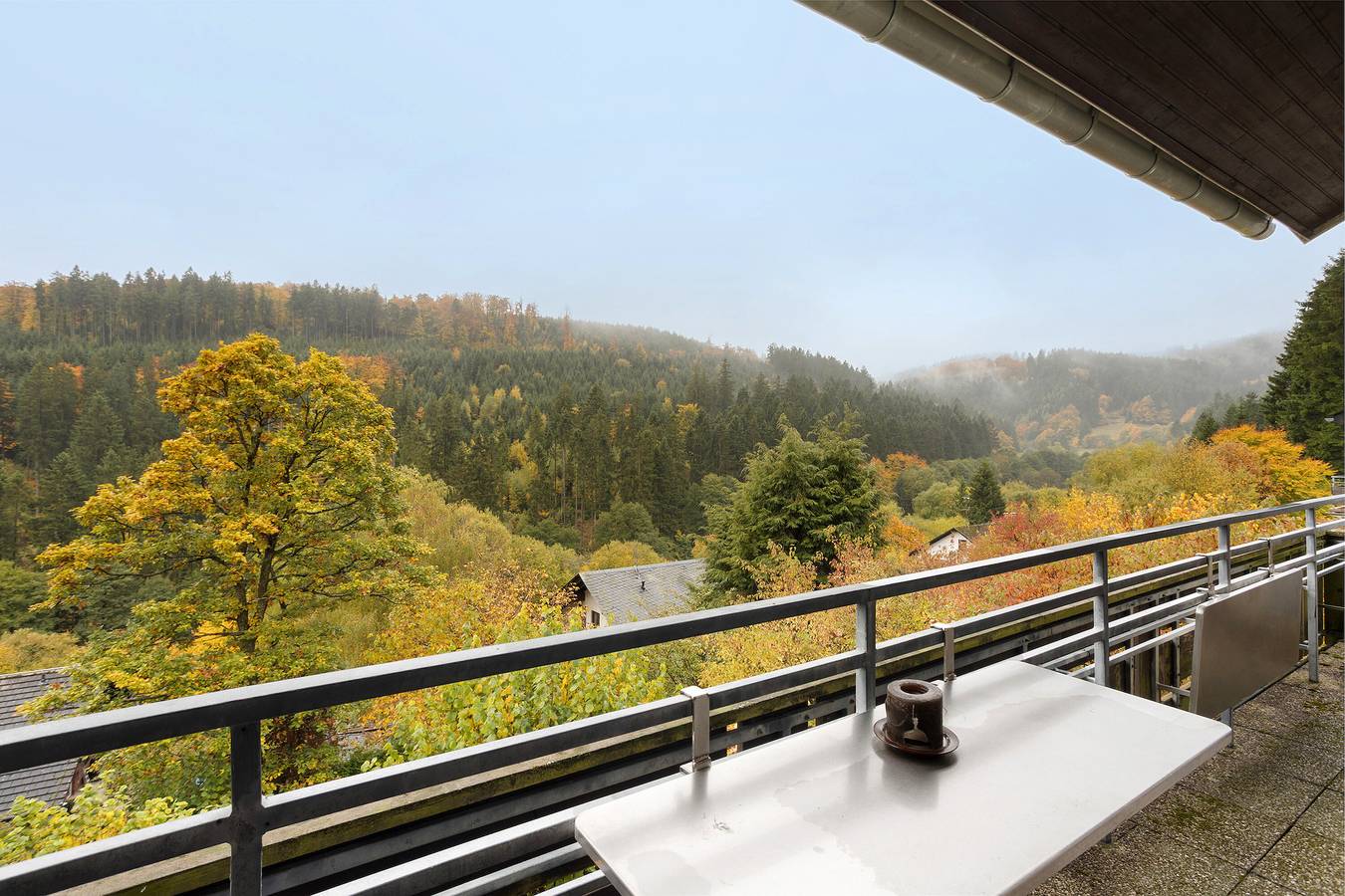 Ganze Wohnung, Ferienwohnung Wald-Ausblick mit privater Terrasse und Balkon in Willingen, die Mittelgebirge