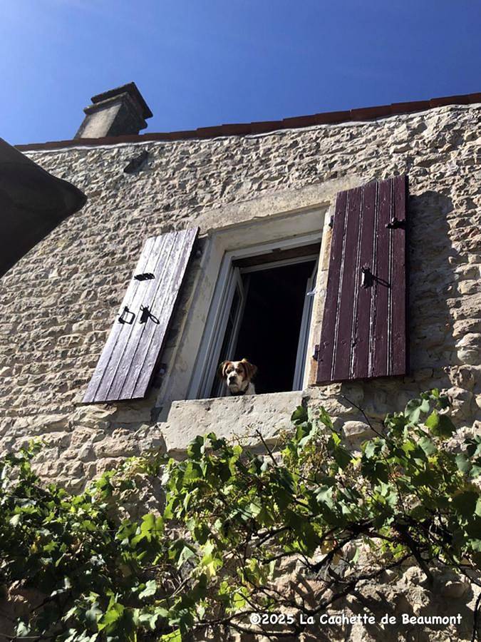 Location de vacances pour 2 personnes, avec vue ainsi que terrasse et jardin à Marsais - 4