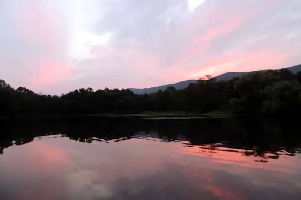 Walk to Shenandoah River Outfitters - dogs welcome! in Page County