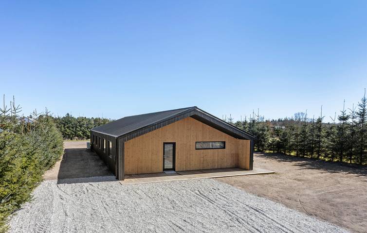 Ferienhaus für 12 Personen, mit Garten und Sauna, mit Haustier in Nordjütland - 2