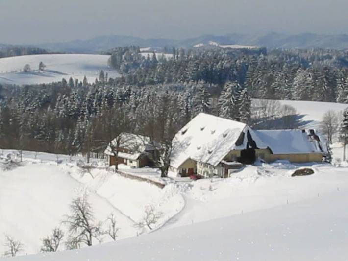 Ferienhaus für 5 Personen, mit Garten in St. Märgen - 2