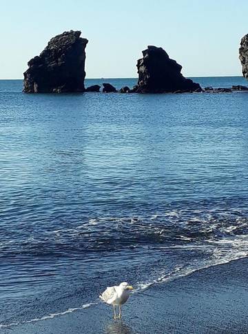 Gîte pour 4 personnes dans Plage de la Grande Conque