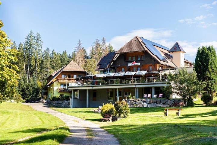 Hotel für 4 Personen, mit Balkon und Terrasse sowie Garten und Sauna in Ortenaukreis