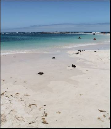 Apartamento para 6 Personas en La Capellania (Corralejo), La Oliva, Foto 4