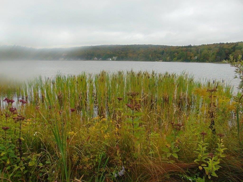 Cottage for 6 People in Woodford (VT), Green Mountain National Forest
