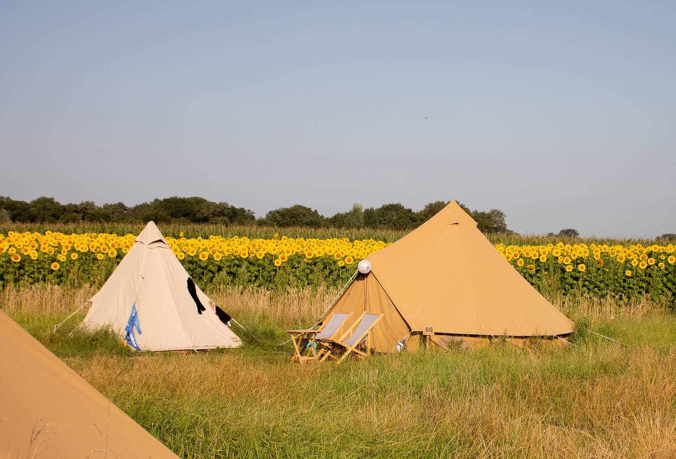 Vakantiepark Mölke — Pop-up glamping: Buurvrouws' Belltentje | 2-4 pers. in Sallandse Heuvelrug