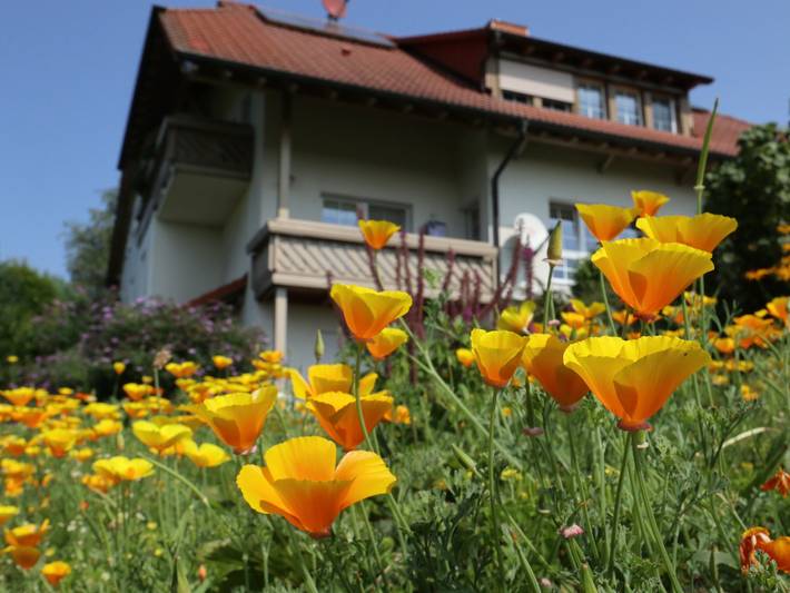 Ferienwohnung für 2 Personen, mit Balkon und Garten in Rickenbach