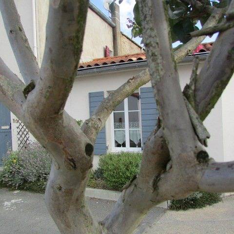 Gîte pour 4 personnes, avec jardin et terrasse à Saint-Sébastien-sur-Loire - 3