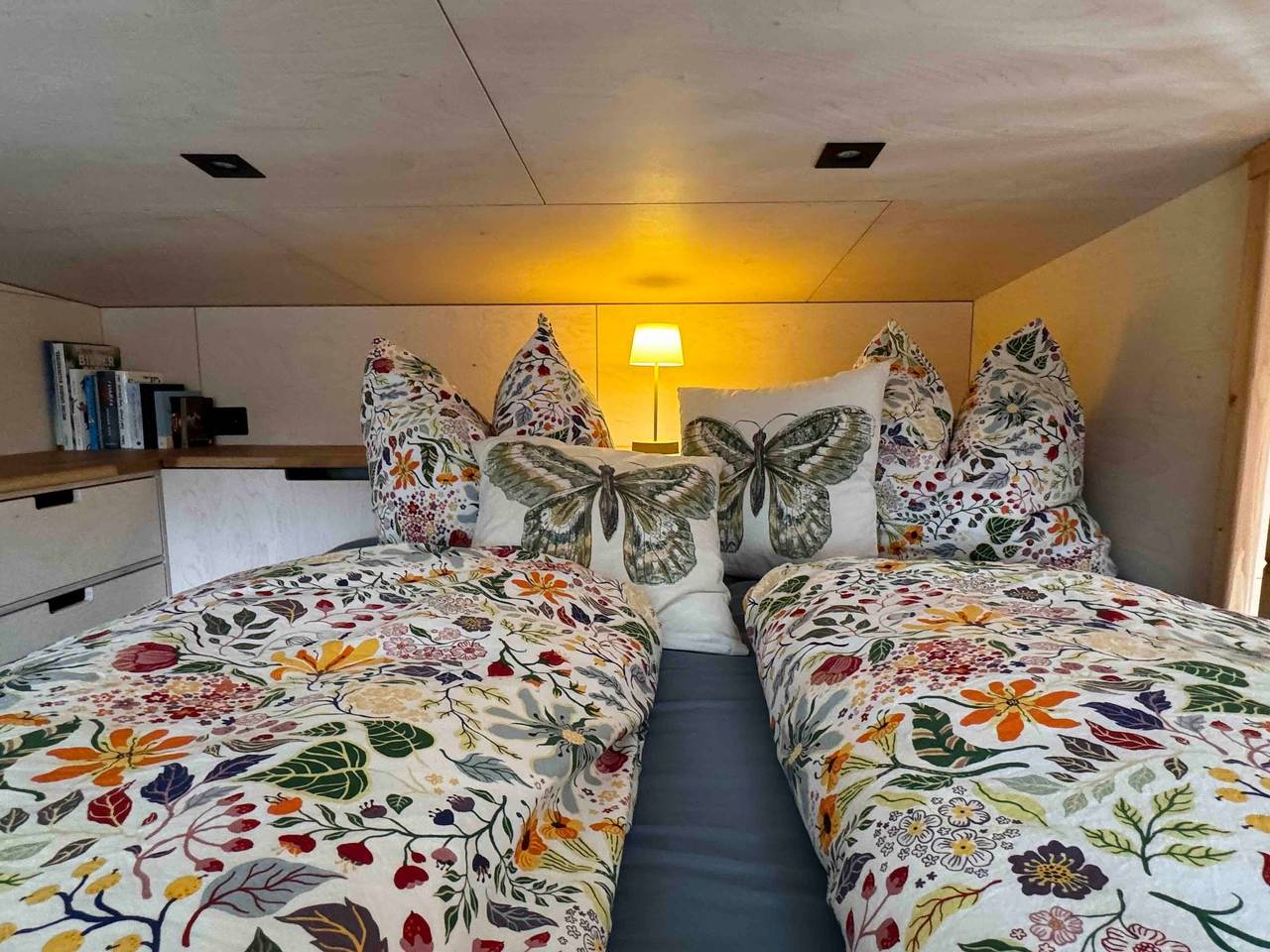 Tiny Frida in Gifhorn, Landkreis Gifhorn