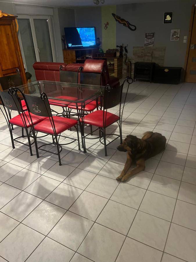 Location de vacances pour 4 personnes, avec terrasse ainsi que jardin et jacuzzi à Saint-Laurent-sur-Oust - 2