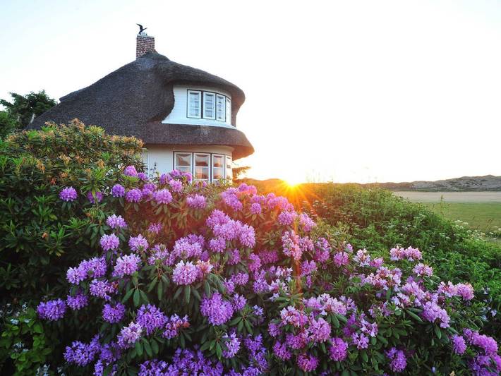 Ferienhaus für 2 Personen, mit Terrasse, kinderfreundlich in Kampen (Sylt)