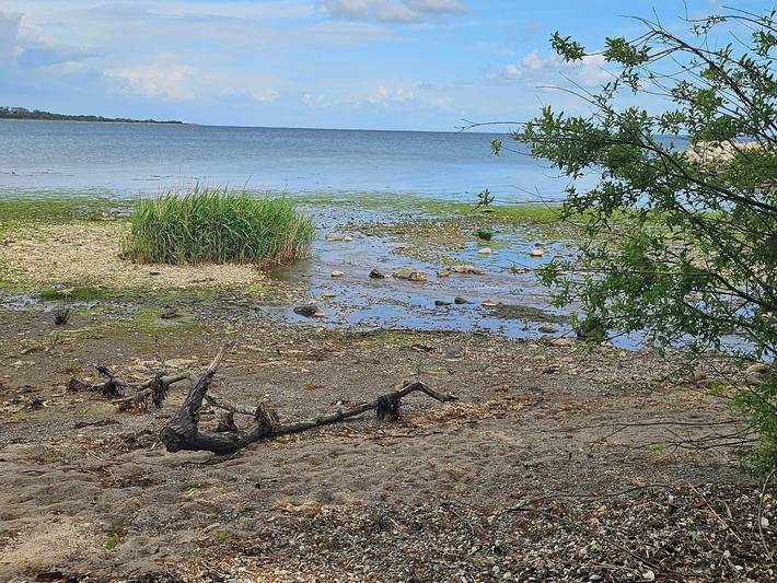 Ferienhaus für 6 Personen, mit Garten und Terrasse in Loddenhøj - 4