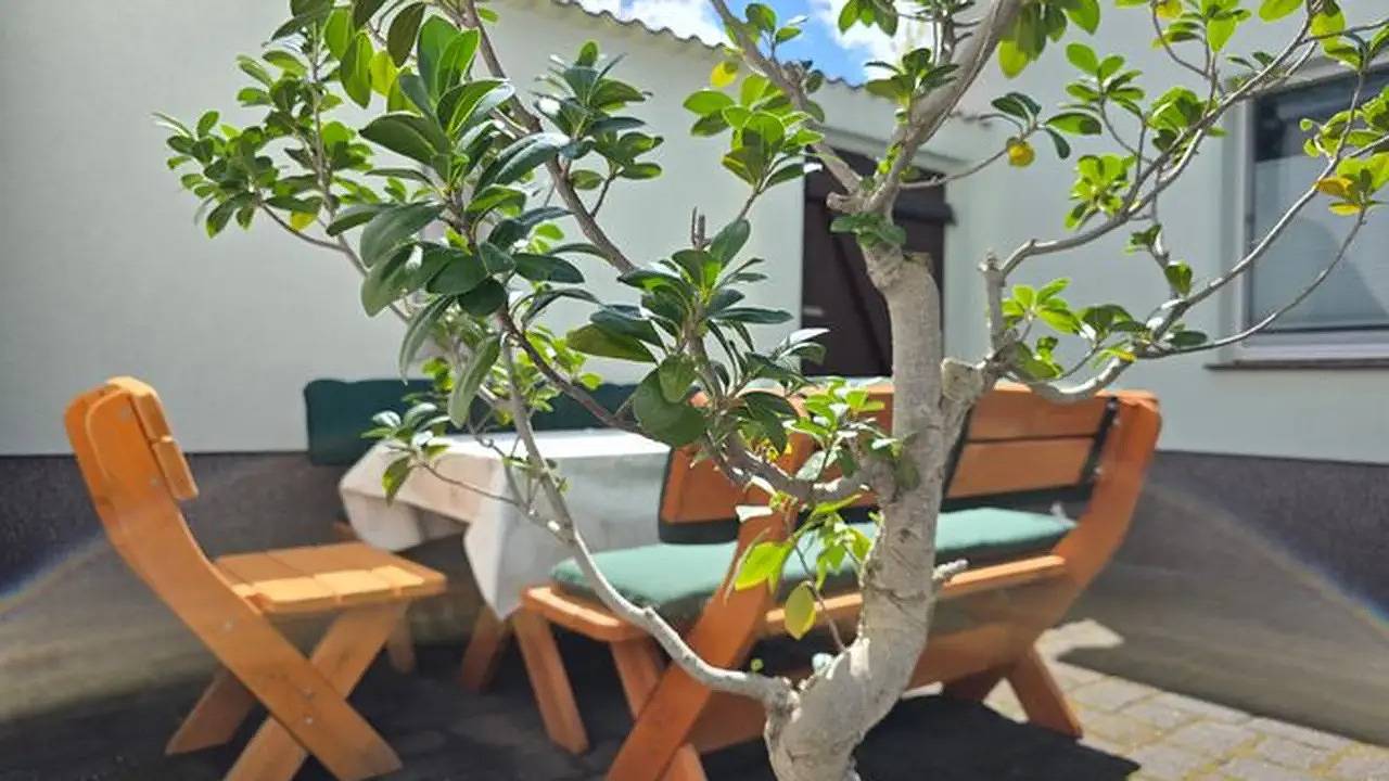 Ganze Ferienwohnung, Ferienwohnung für 4 Personen (90 m²) in Senftenberg in Niemtsch, Senftenberg