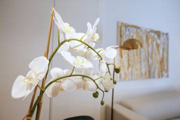 Apartamento De Férias para 4 Pessoas em Centro (Madrid), Madrid, Foto 2