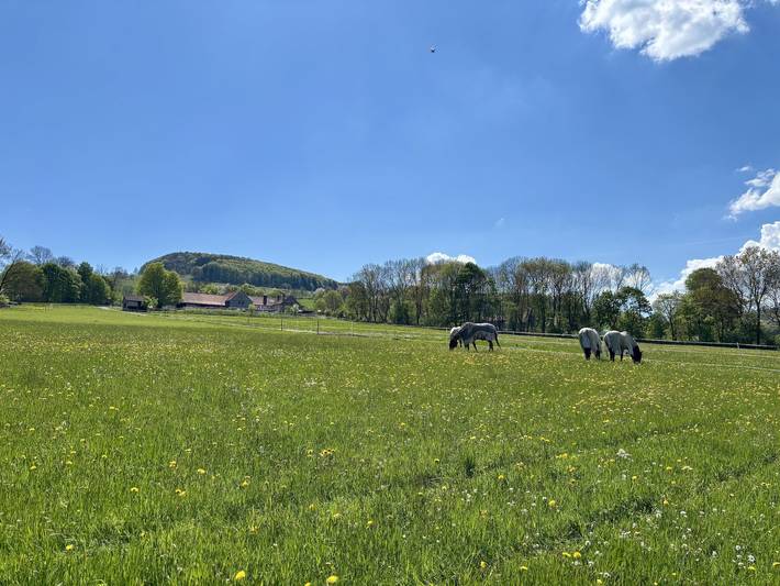 Ganze Ferienwohnung, Fewo Kreuzberg 65qm mit Terrasse in Ehrenberg, Rhön-Hessen