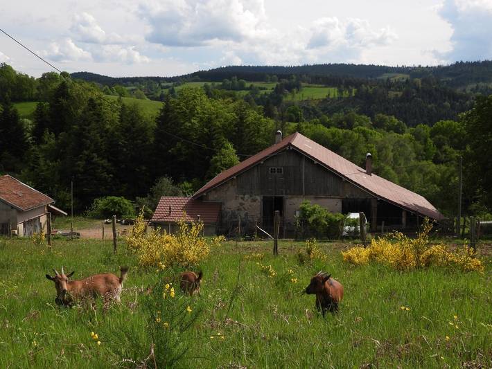 Location de vacances pour 2 personnes, avec jardin à Le Tholy - 3