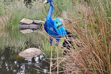 Cottage for 2 People in County Wicklow, Photo 4