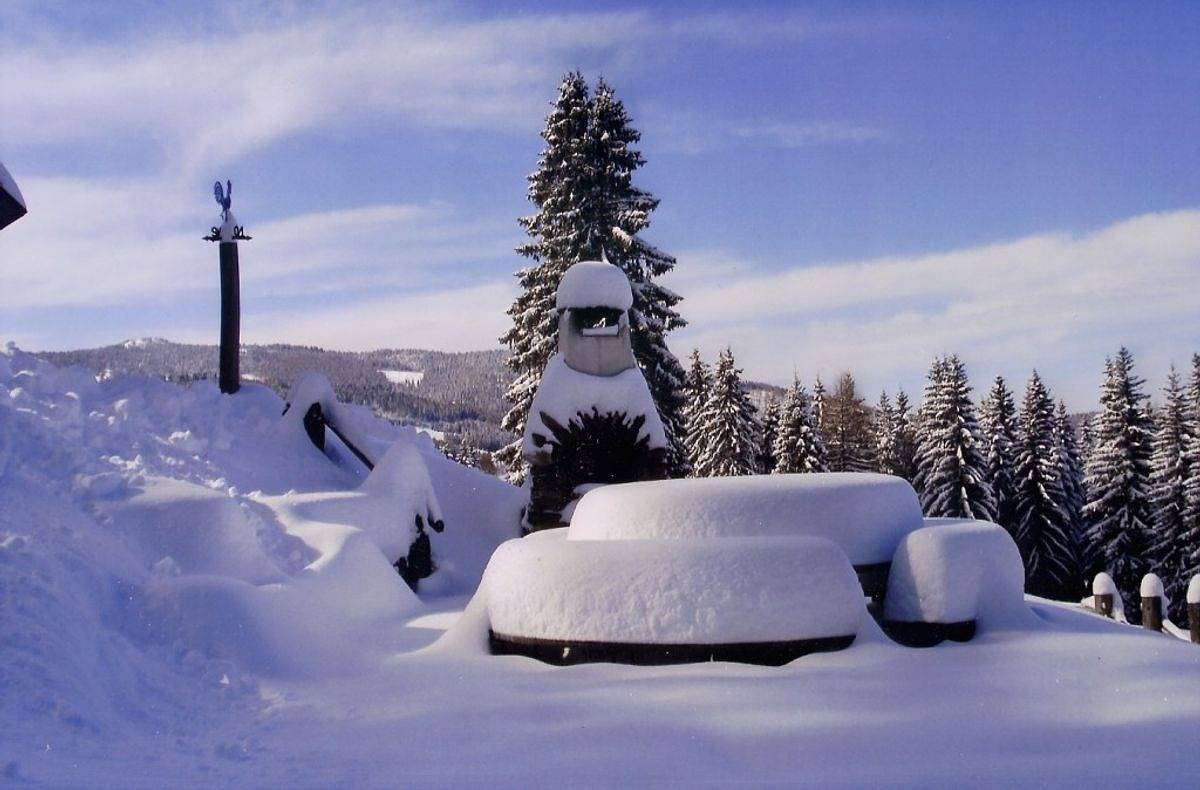 Gregor Peter Hütte in Preitenegg, Lavanttaler Alpen
