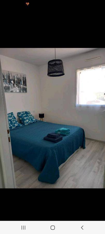 Gîte pour 2 personnes, avec vue et terrasse dans Plage naturiste (Olonne-sur-Mer) - 3