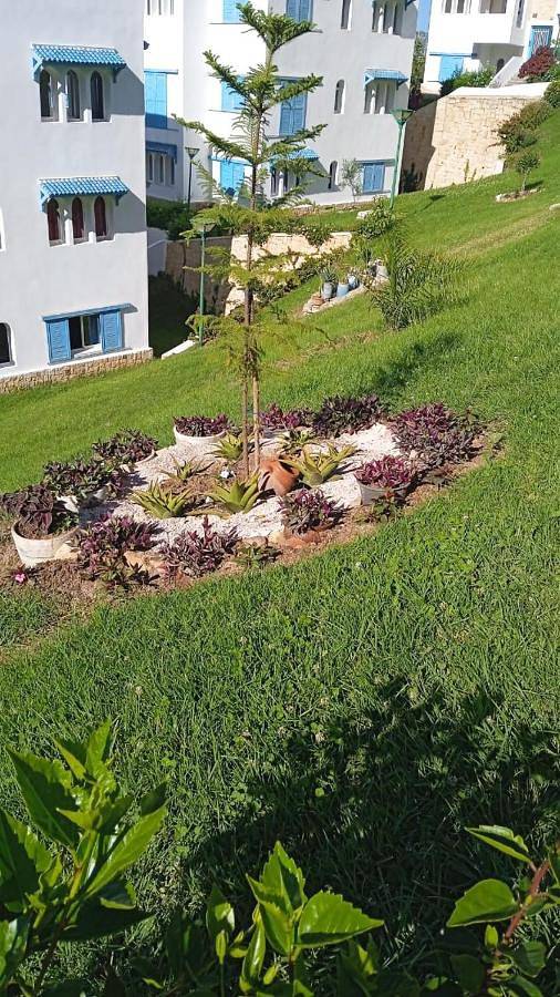 Gîte pour 5 personnes, avec terrasse et vue ainsi que piscine et jardin, animaux acceptés dans El Malaliyine - 2