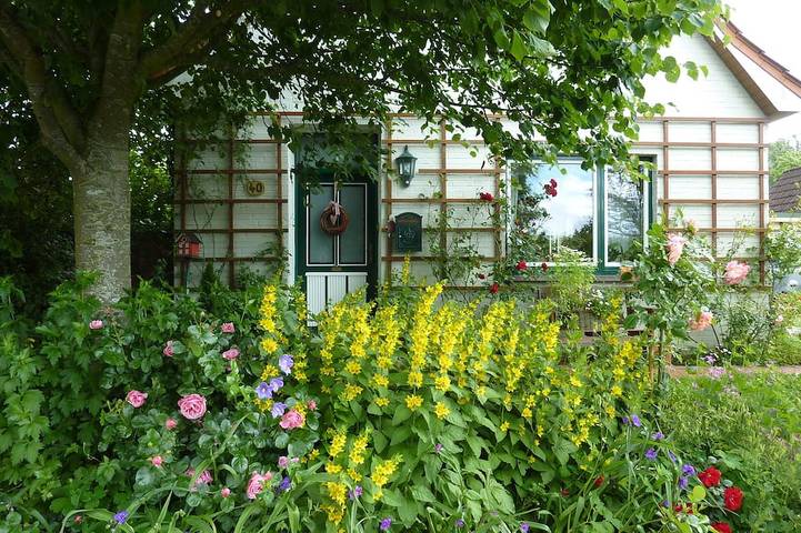 Ferienwohnung für 4 Personen, mit Balkon und Garten - 1
