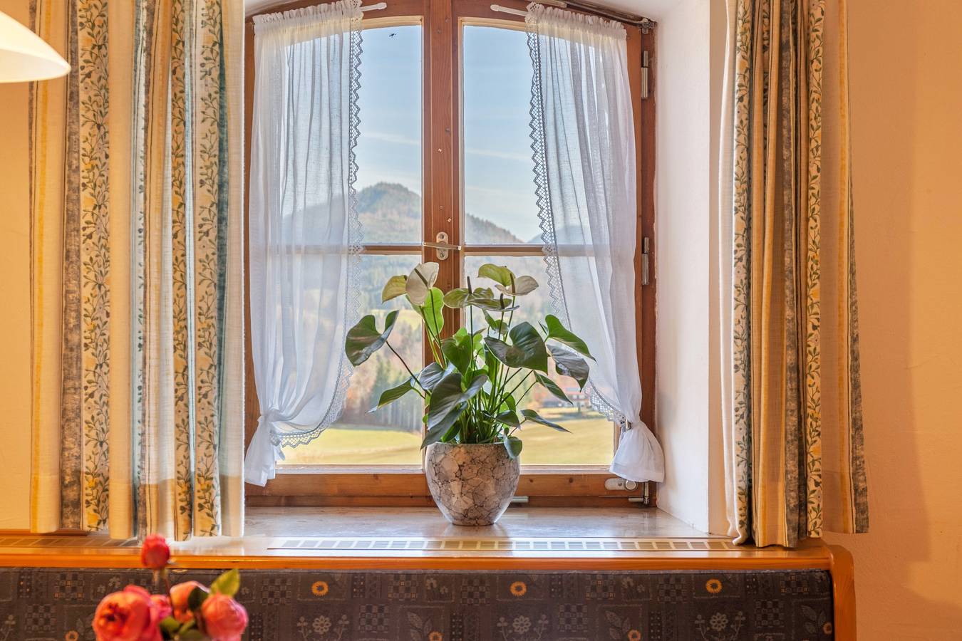 Vakantie Appartement Talblick met Uitzicht op de Bergen, Wi-Fi, foto 10