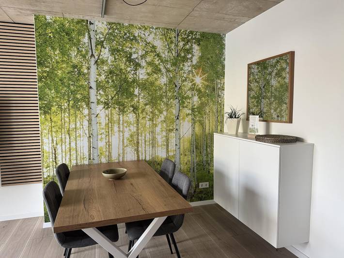 Ganze Ferienwohnung, Neues, barrierefreies Apartment mitten in Losheim in Losheim am See, Saar-Nahe-Bergland