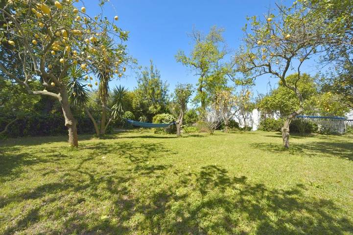 Location de vacances pour 3 personnes, avec vue et jardin, adapté aux familles à Procida - 4