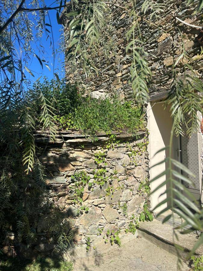 Maison de campagne pour 6 personnes, avec jardin ainsi que vue et piscine à Murato - 4